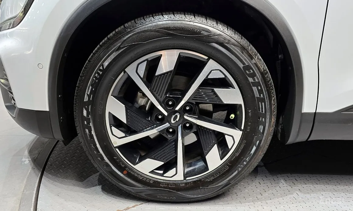 Фото 5 - Renault QM6