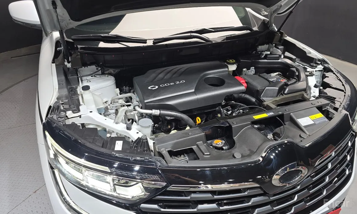 Фото 6 - Renault QM6