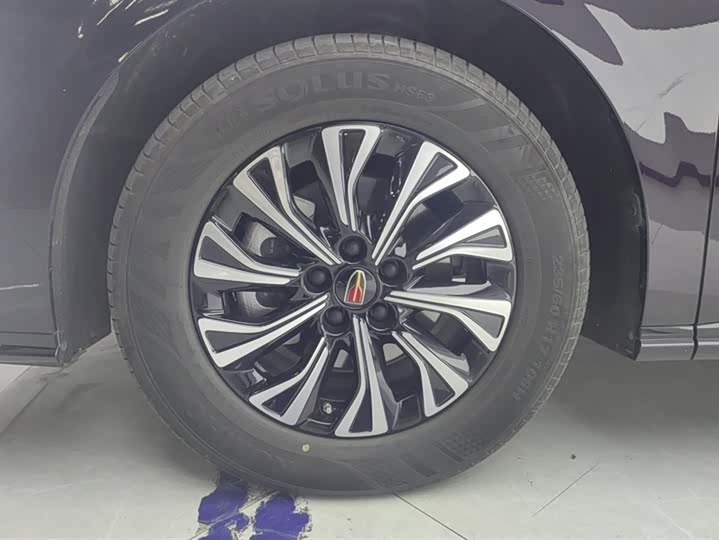 Hongqi HQ9 Hybrid 2024 2024款 2.0T 四驱商务版