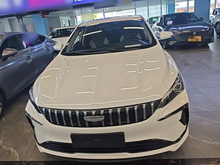 Фото 3 - Geely Binrui