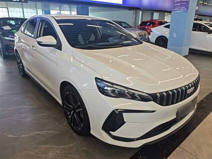 Фото 4 - Geely Binrui