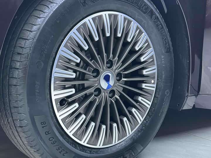 Фото 3 - Denza D9