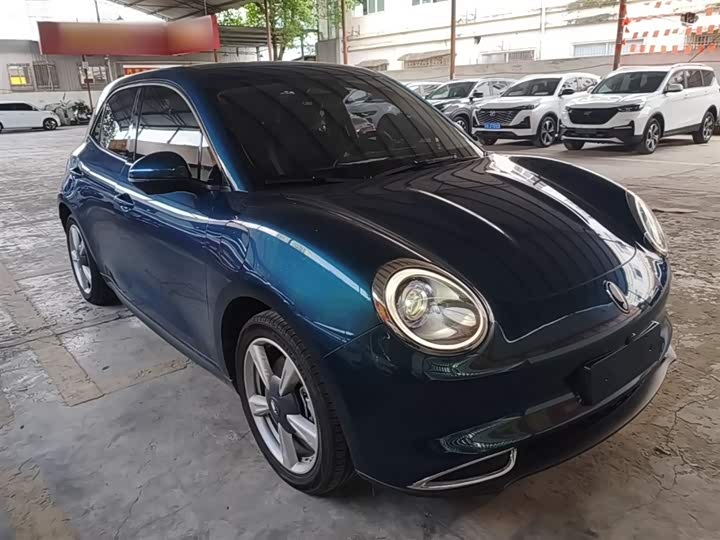 Ora Good Cat (03) 2023 2023款 401km标准续航 豪华型 磷酸铁锂