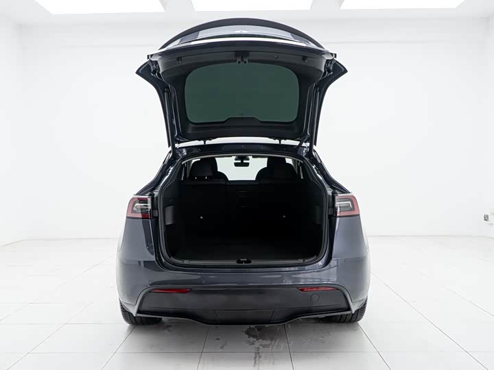 Tesla Model Y 2022 2022款 Performance高性能全轮驱动版