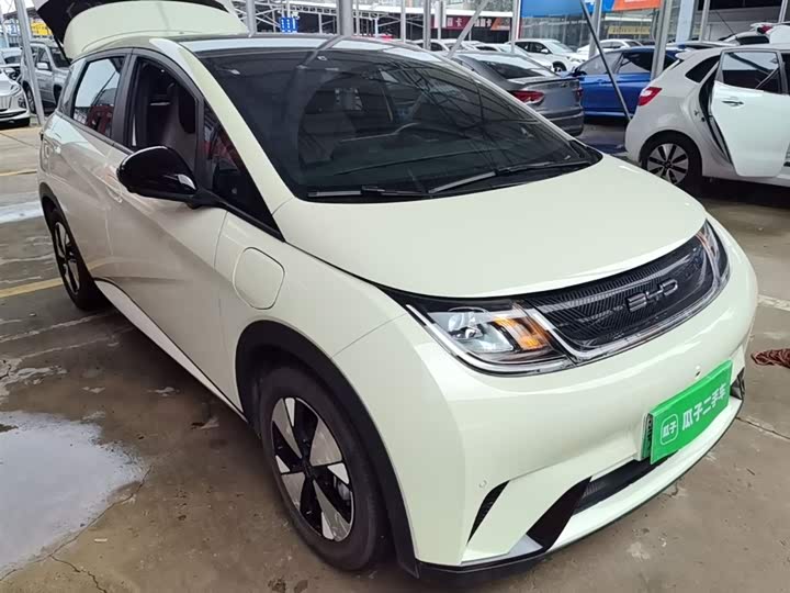Фото 4 - BYD Dolphin