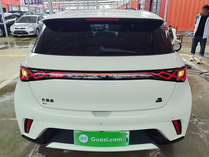 Фото 6 - BYD Dolphin