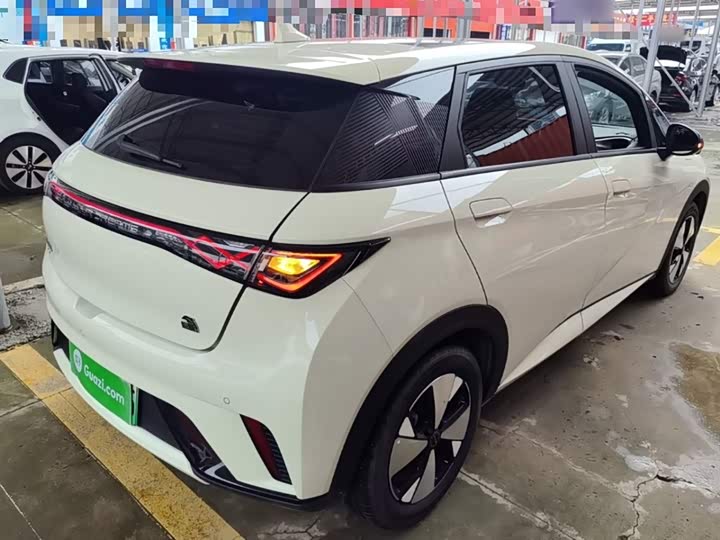 Фото 7 - BYD Dolphin