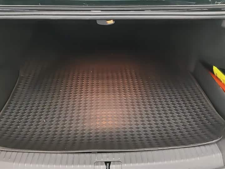 Volkswagen Passat Hybrid 2025 2025款 430PHEV 混动商务版