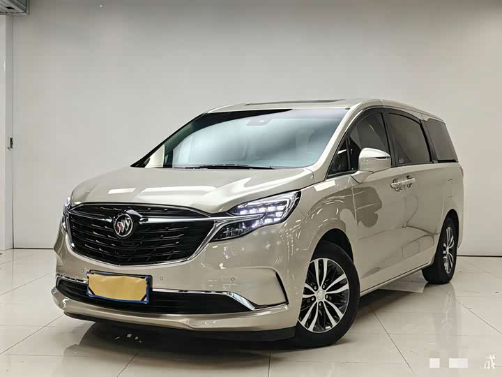 Фото 1 - Buick GL8 ES