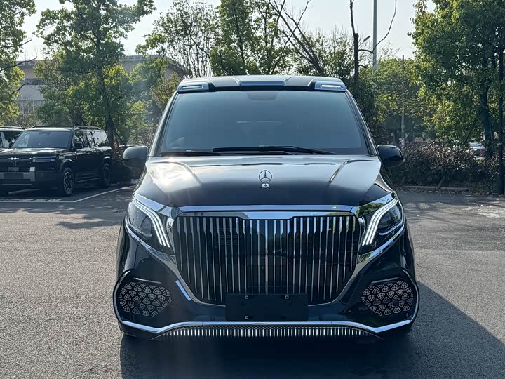 Фото 2 - Mercedes-Benz Vito