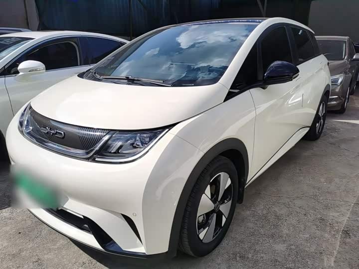 Фото 2 - BYD Dolphin