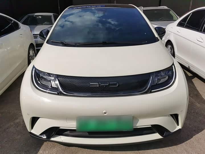 Фото 3 - BYD Dolphin
