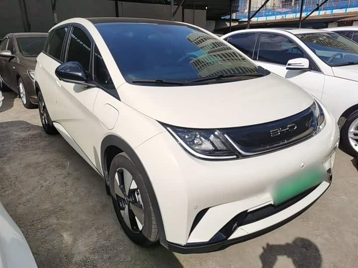 Фото 4 - BYD Dolphin