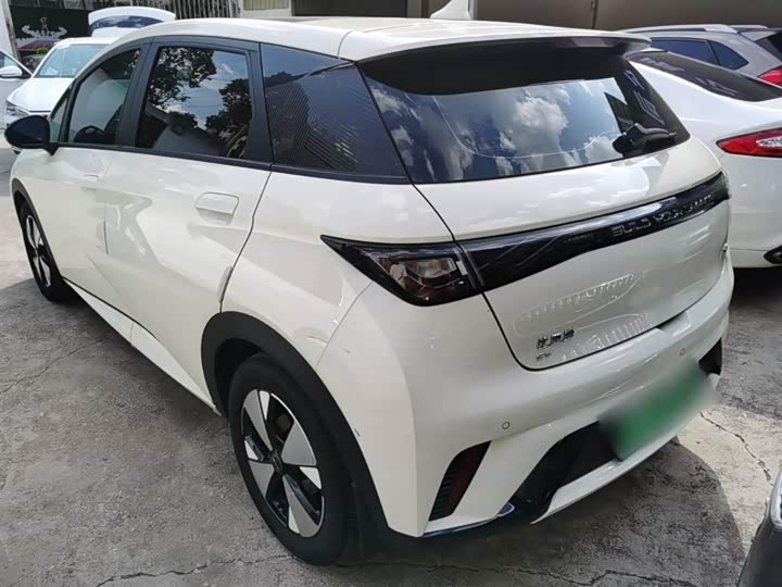 Фото 5 - BYD Dolphin