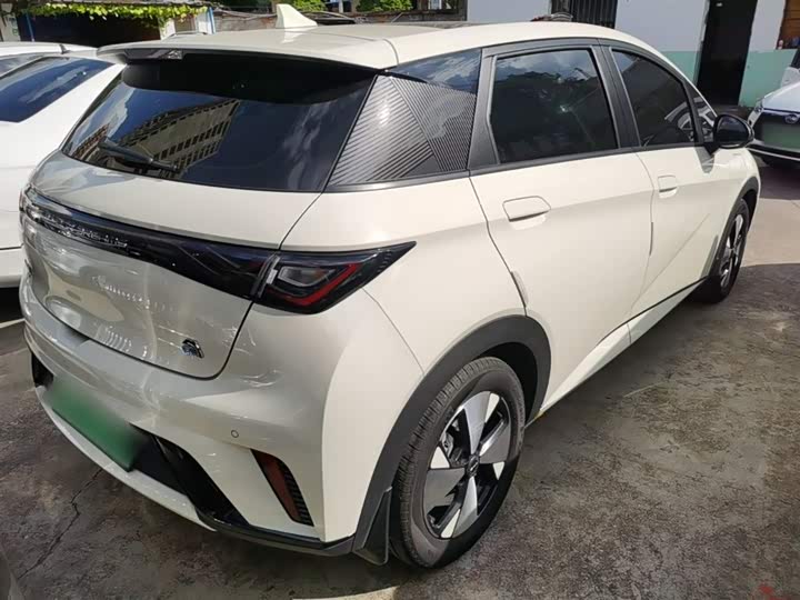 Фото 7 - BYD Dolphin