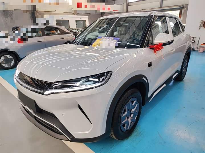 BYD Yuan Up 2025 2025款 智驾版 401KM 活力版