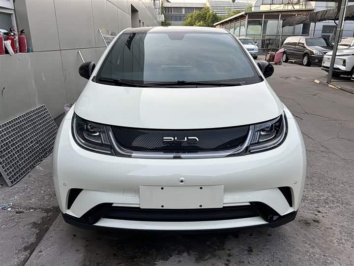 Фото 2 - BYD Dolphin