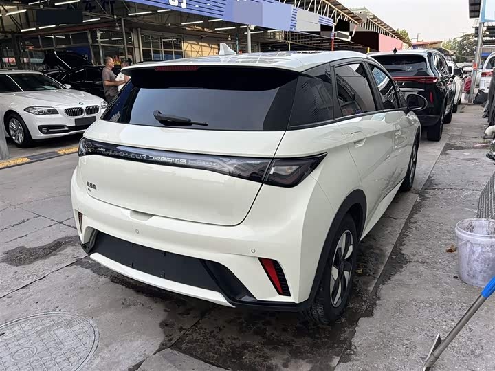 Фото 4 - BYD Dolphin