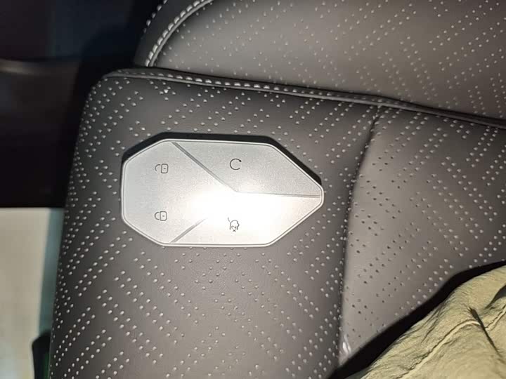 BYD FangChengBao Titanium 3 (Tai 3) 2025 2025款 501KM 后驱Max版