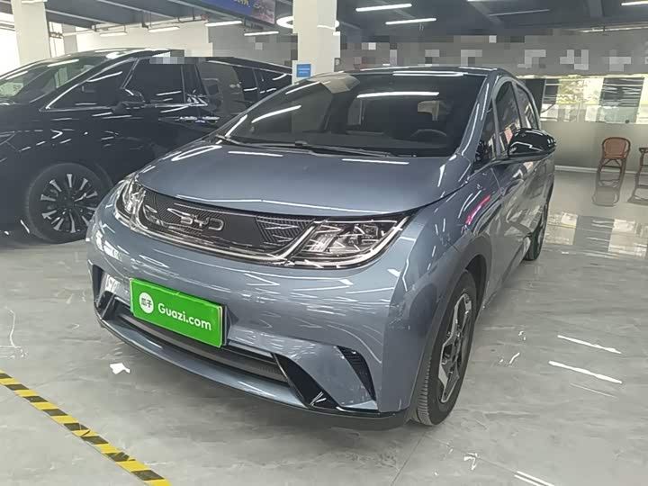 2025 BYD Dolphin