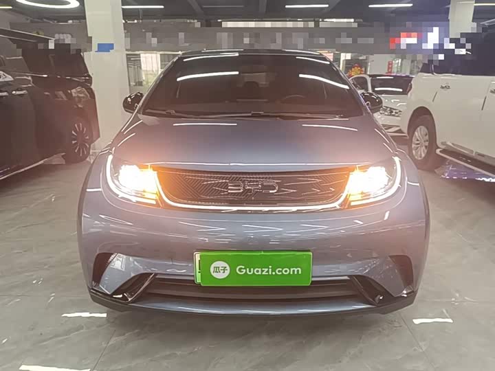 2025 BYD Dolphin
