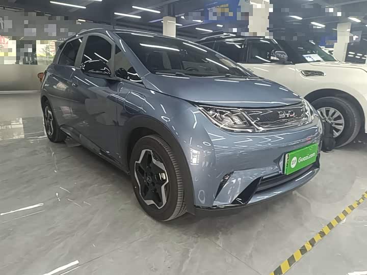 2025 BYD Dolphin