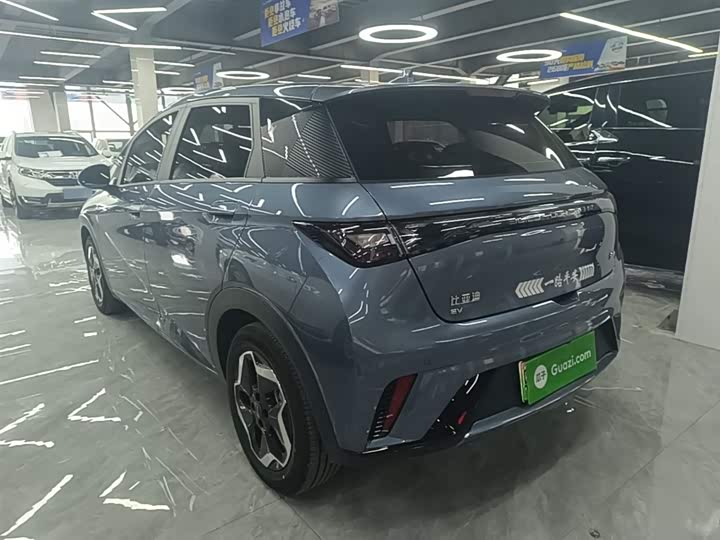 2025 BYD Dolphin