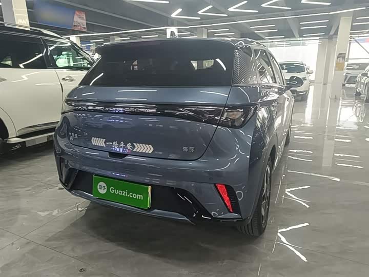 BYD Dolphin 2025 2025款 420km 活力版