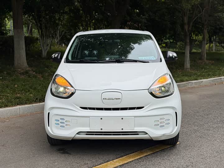 Roewe Clever 2022 2022款 311km元气啵啵版