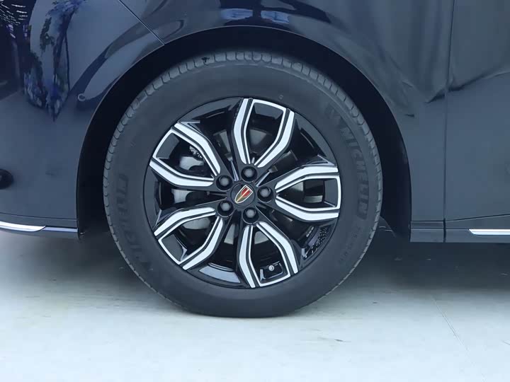 Hongqi HQ9 2023 2023款 2.0T 智联旗领版