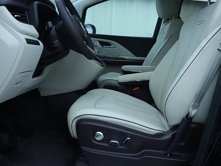 Hongqi HQ9 2023 2023款 2.0T 智联旗领版