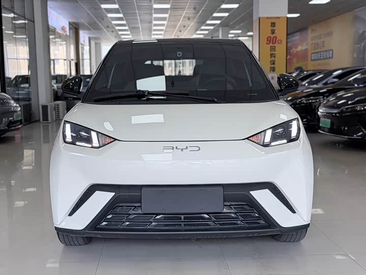 Фото 2 - BYD Seagull