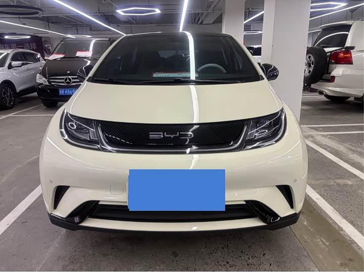 Фото 2 - BYD Dolphin