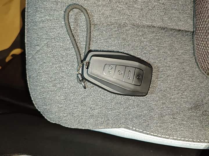 Geely Geometry E Firefly 2024 2024款 301km 流光
