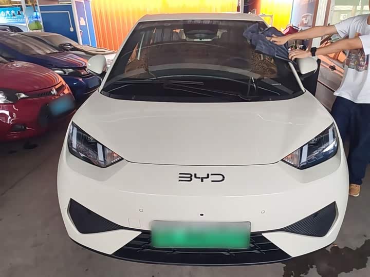 Zdjęcie 3 - BYD Seagull
