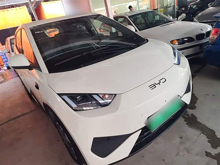 Zdjęcie 4 - BYD Seagull
