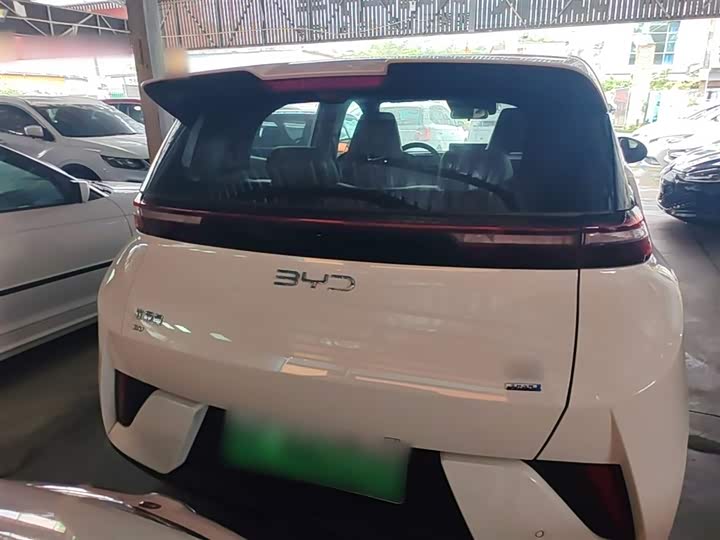 Zdjęcie 6 - BYD Seagull