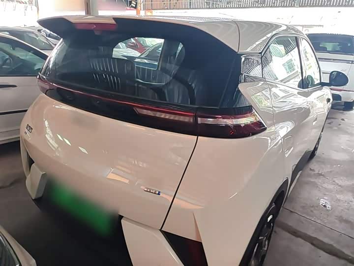 Zdjęcie 7 - BYD Seagull