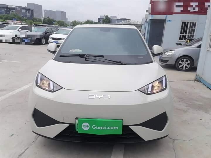 BYD Seagull 2025 2025款 智驾版 305km 活力版