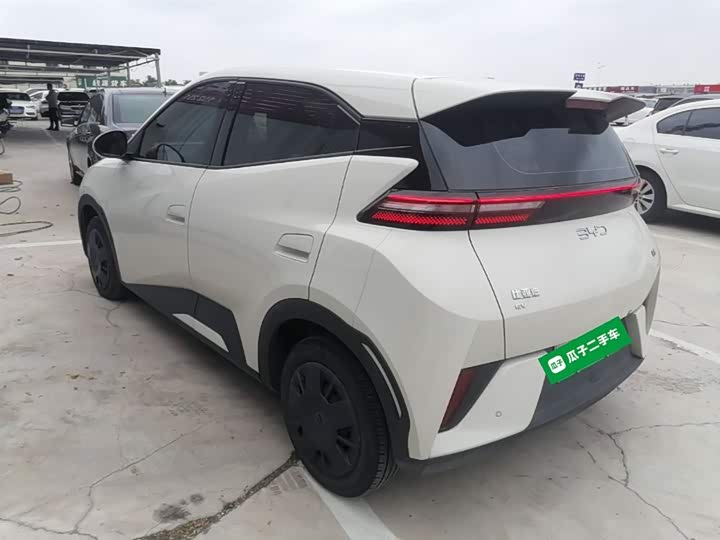 BYD Seagull 2025 2025款 智驾版 305km 活力版