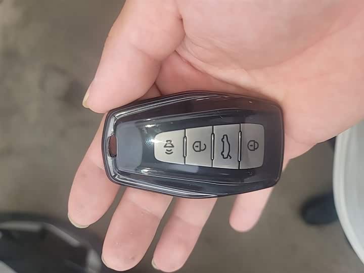 Geely Geometry E Firefly 2024 2024款 301km 星光
