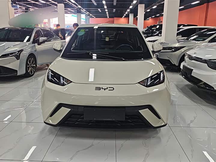 Zdjęcie 2 - BYD Seagull