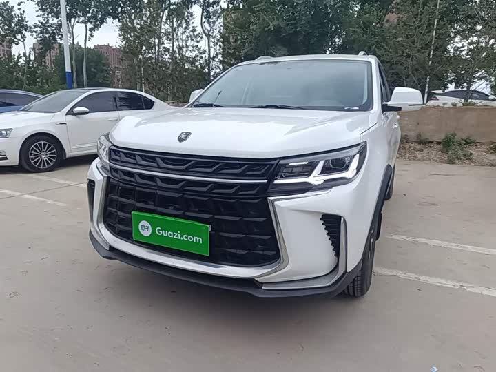 Фото 2 - Dongfeng Forthing T5