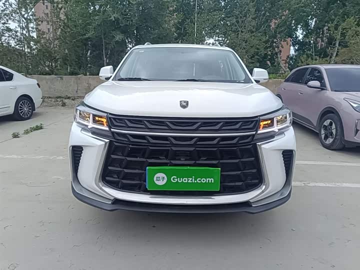 Фото 3 - Dongfeng Forthing T5