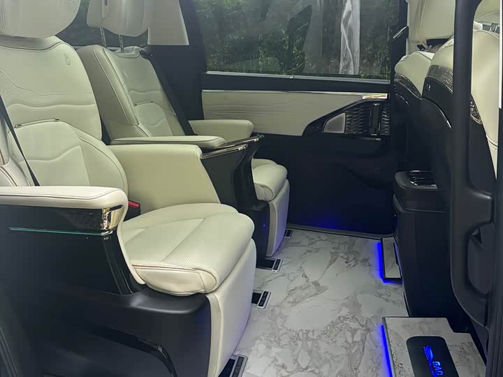 GAC Trumpchi E9 2023 2023款 E9 宗师