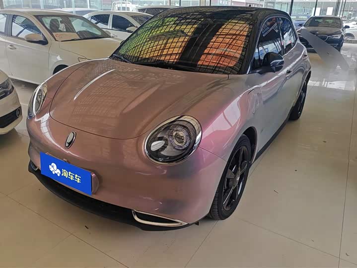 Ora Good Cat (03) 2023 2023款 501km长续航 豪华型 三元锂
