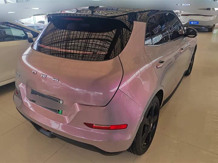 Ora Good Cat (03) 2023 2023款 501km长续航 豪华型 三元锂