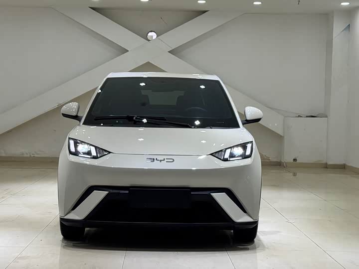 Фото 2 - BYD Seagull