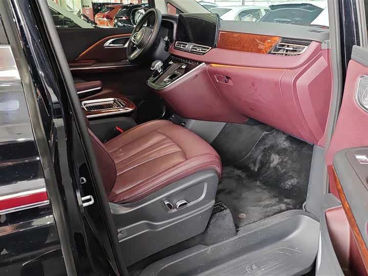 Фото 8 - Hongqi HQ9 Hybrid