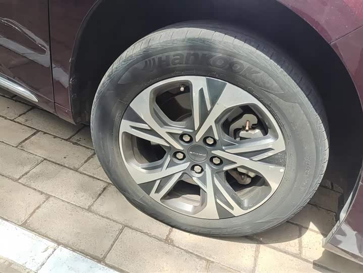 Maxus G90 2022 2022款 2.0T 星辰七座版